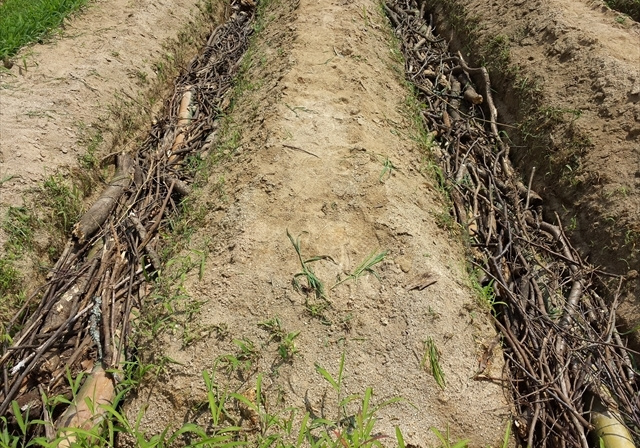 ナチュレのはじまり