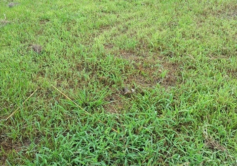 ナチュレのはじまり